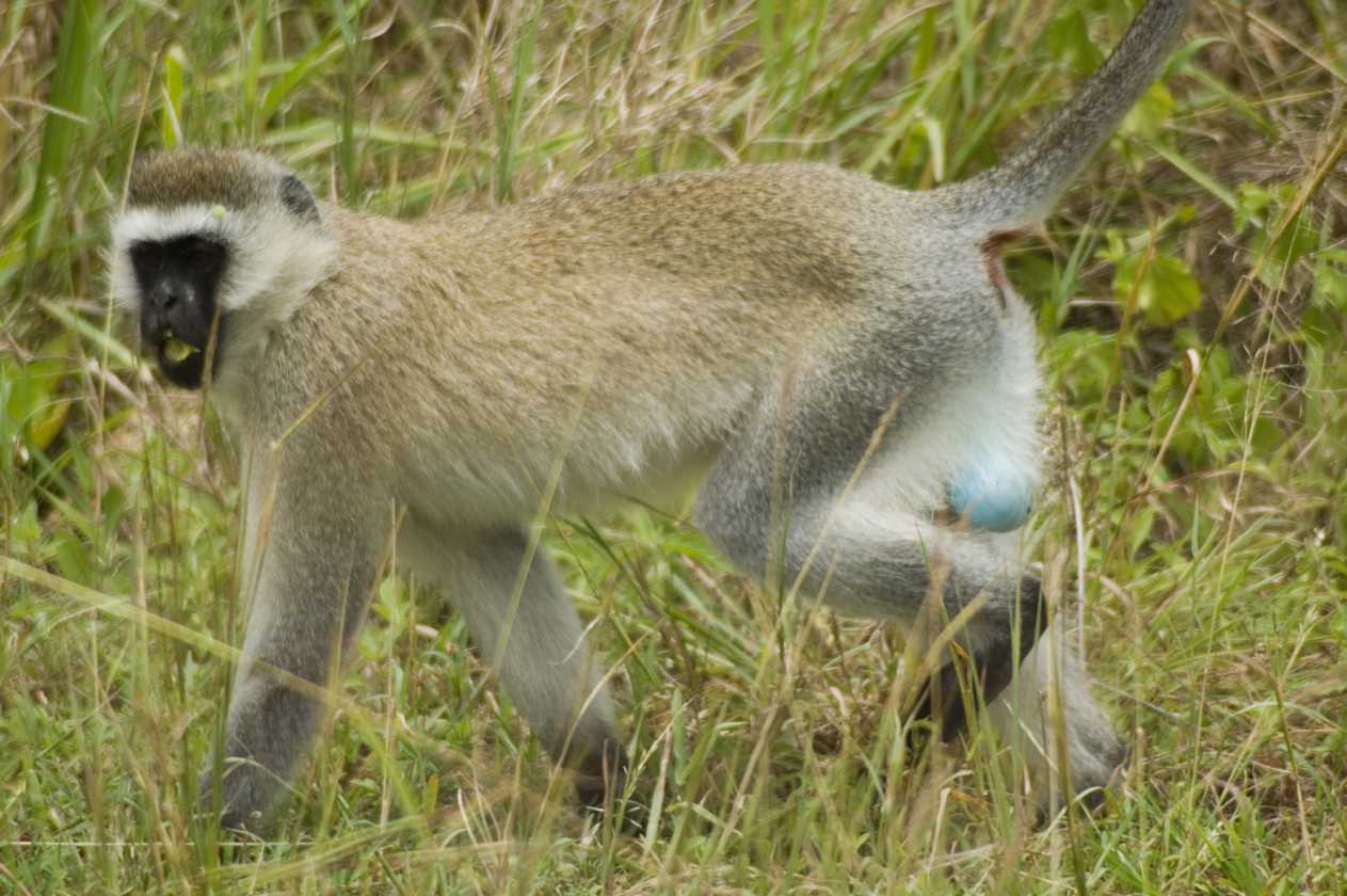 04-tanzania-55