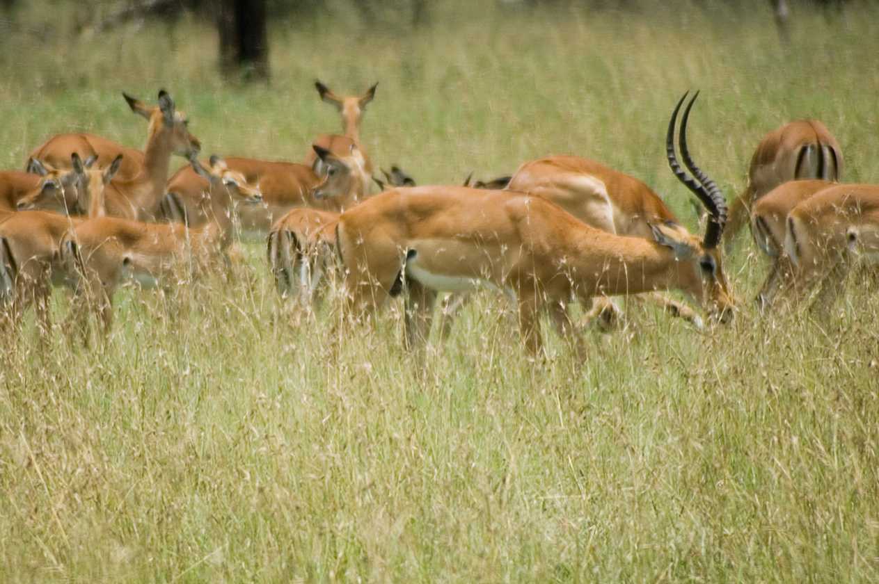 04-tanzania-58