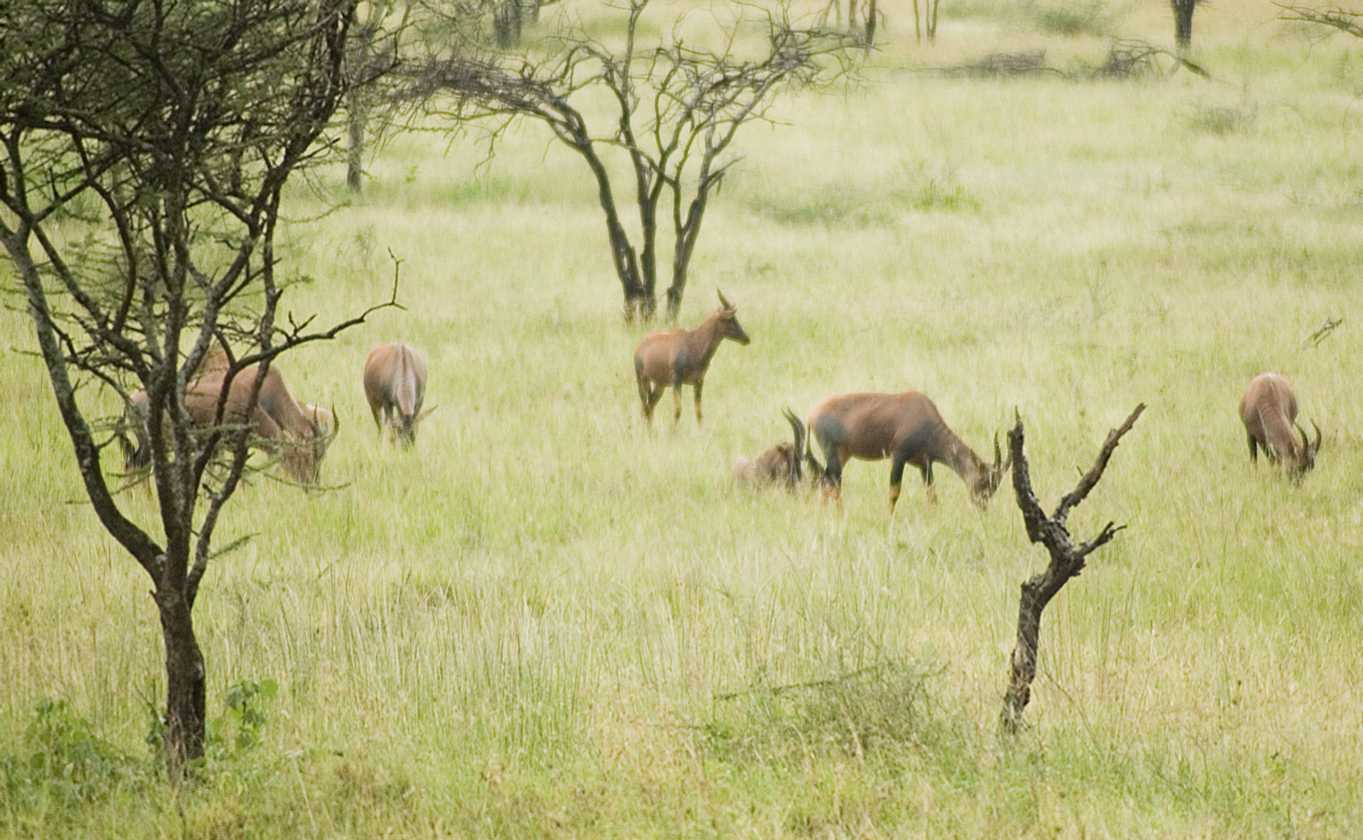 04-tanzania-61