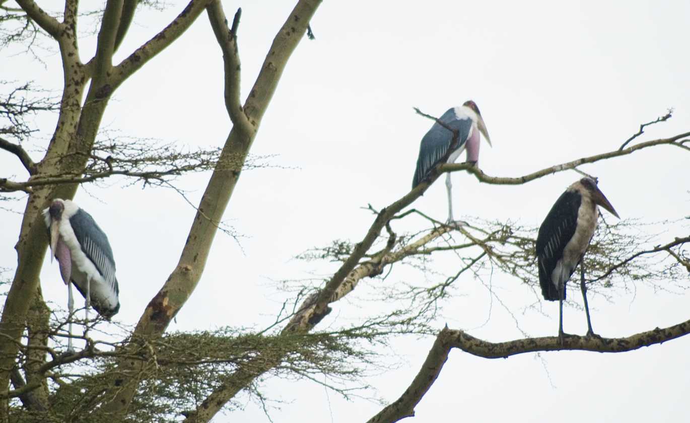 04-tanzania-62