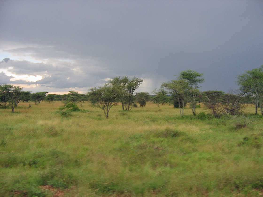 04-tanzania-63