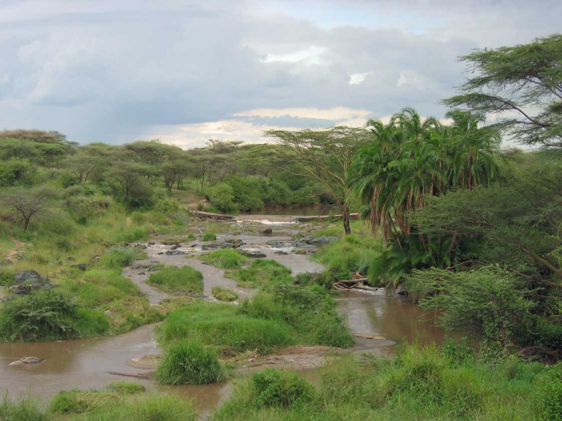 04-tanzania-64