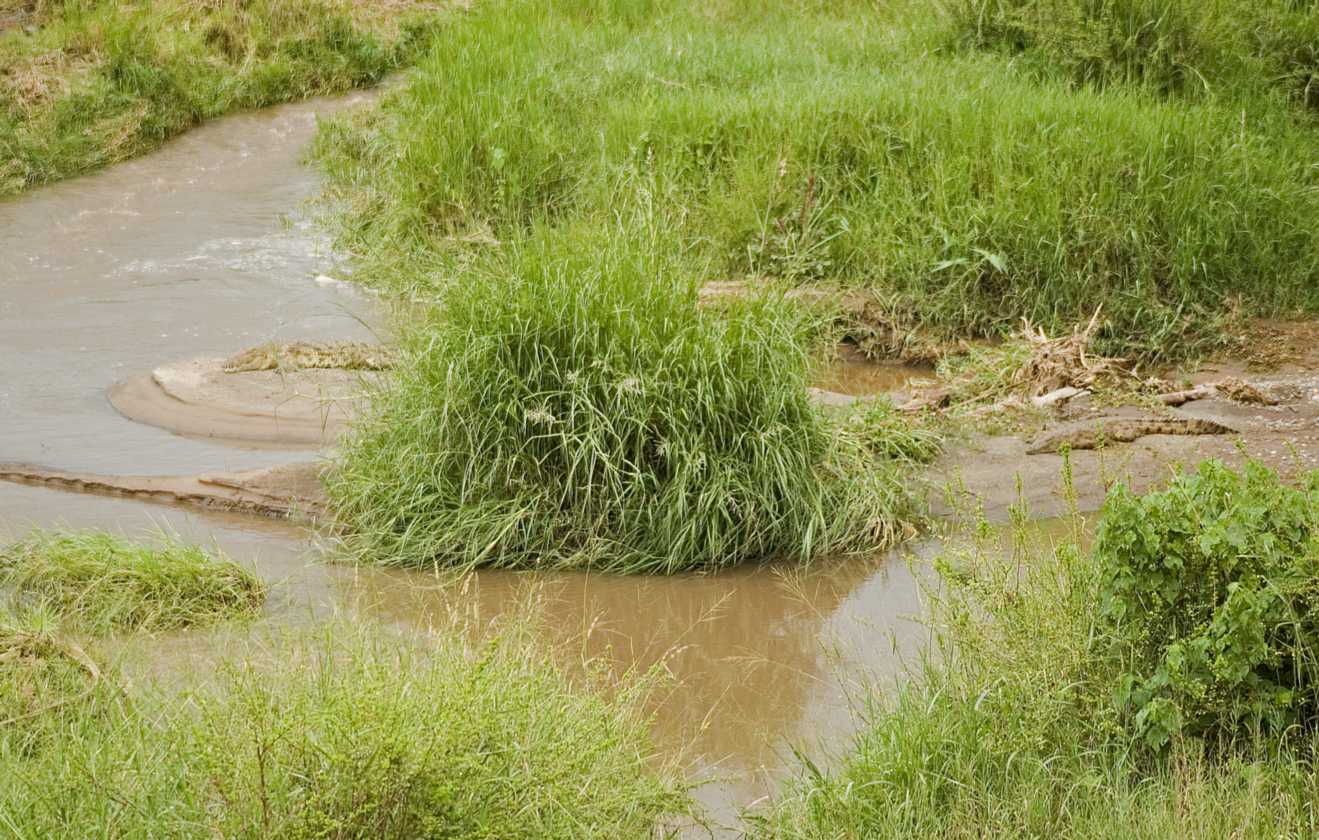04-tanzania-65
