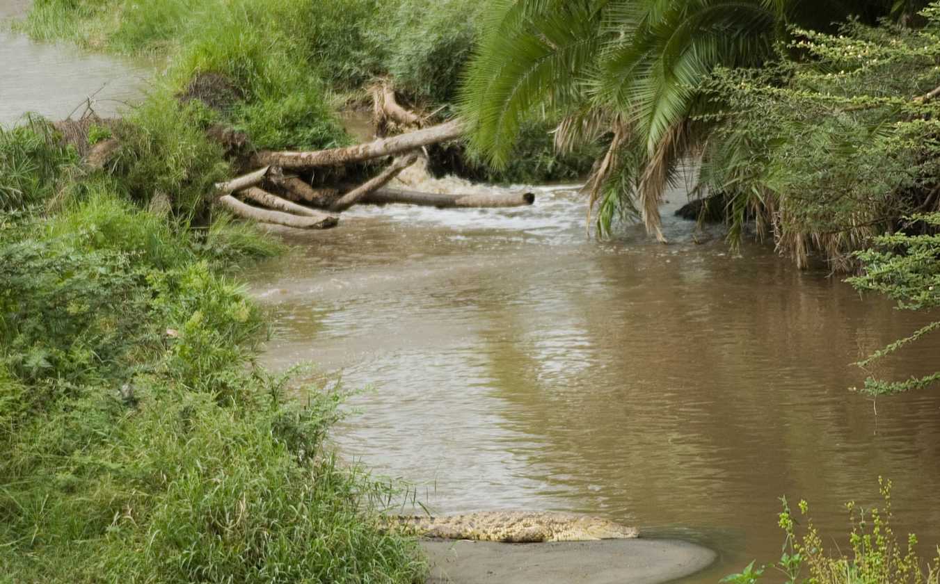 04-tanzania-66
