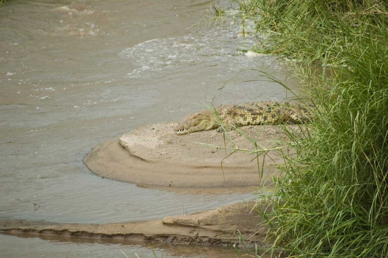 04-tanzania-67