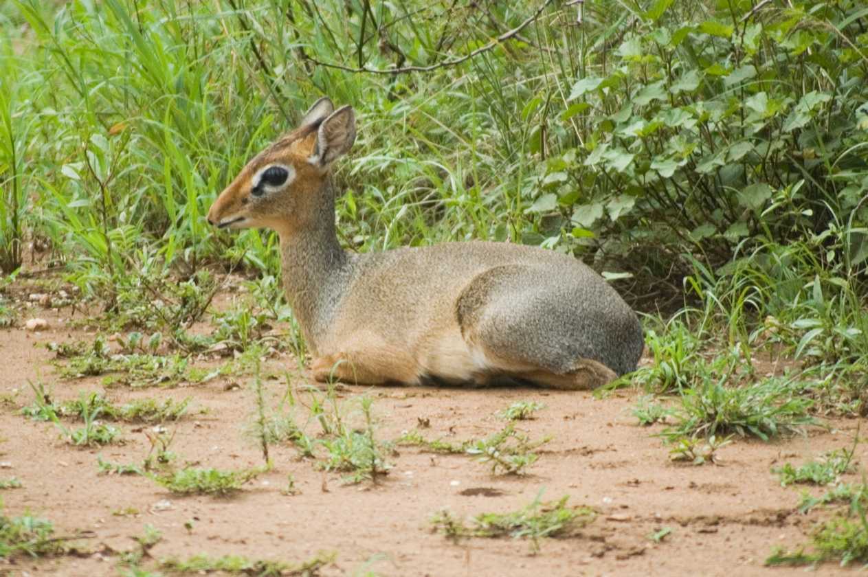 04-tanzania-70