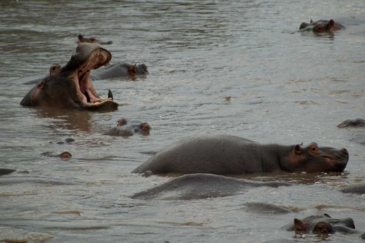 04-tanzania-78