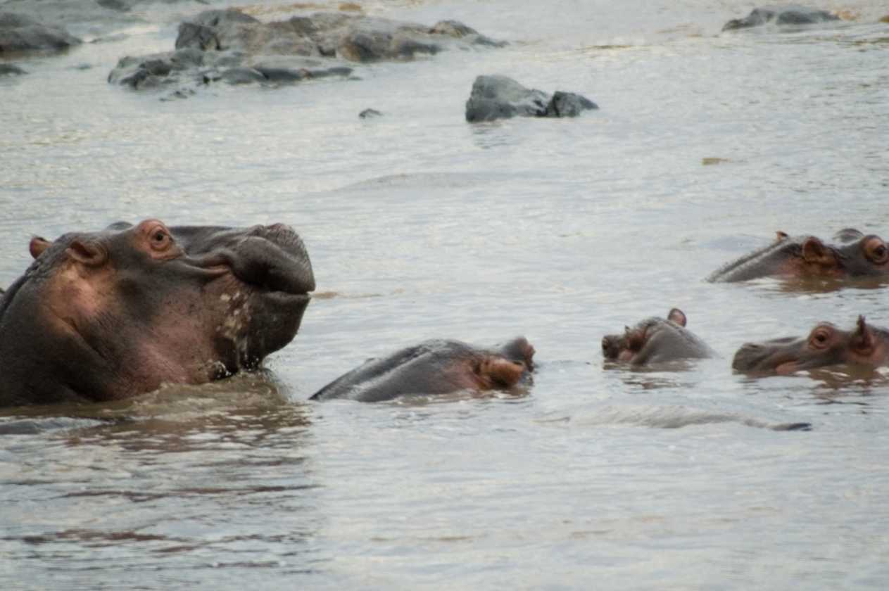04-tanzania-82