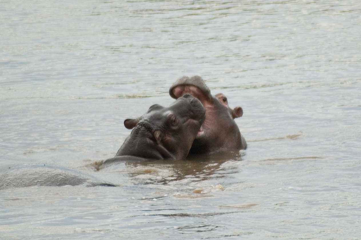 04-tanzania-84
