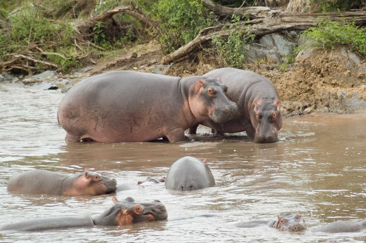 04-tanzania-87
