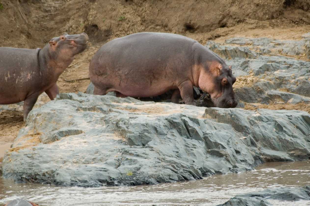 04-tanzania-89