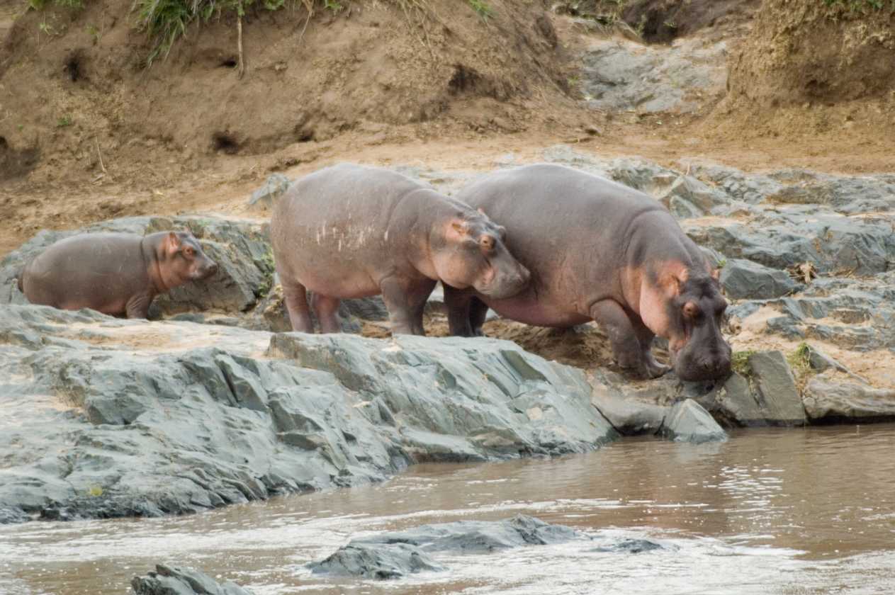 04-tanzania-90