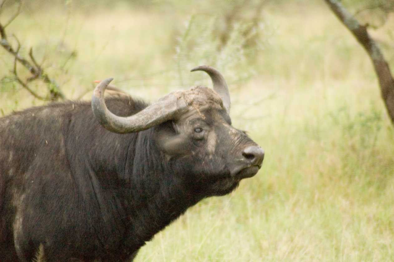 05-tanzania-06