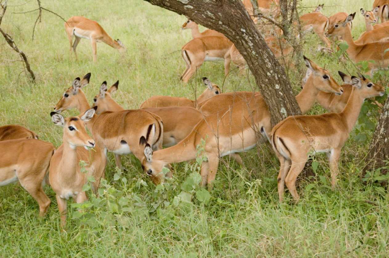 05-tanzania-08