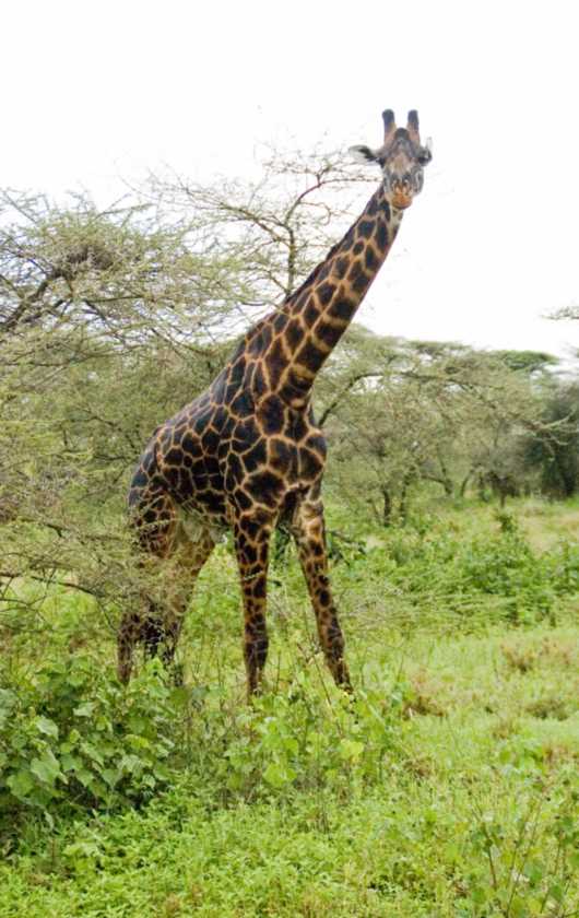 05-tanzania-10