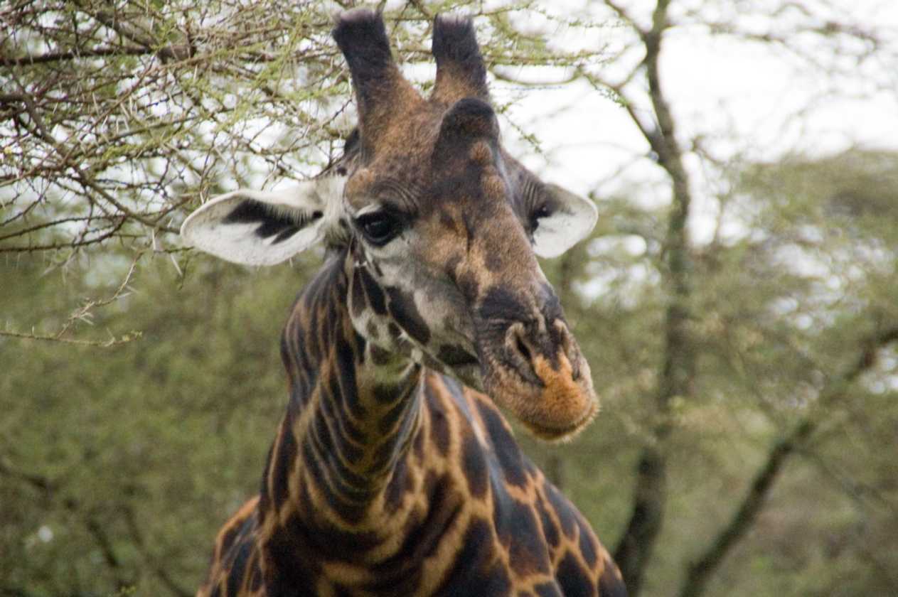 05-tanzania-11
