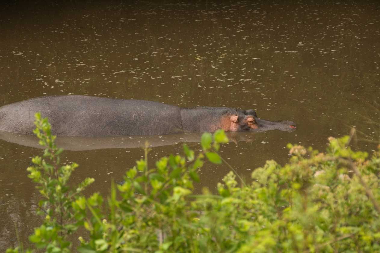 05-tanzania-15