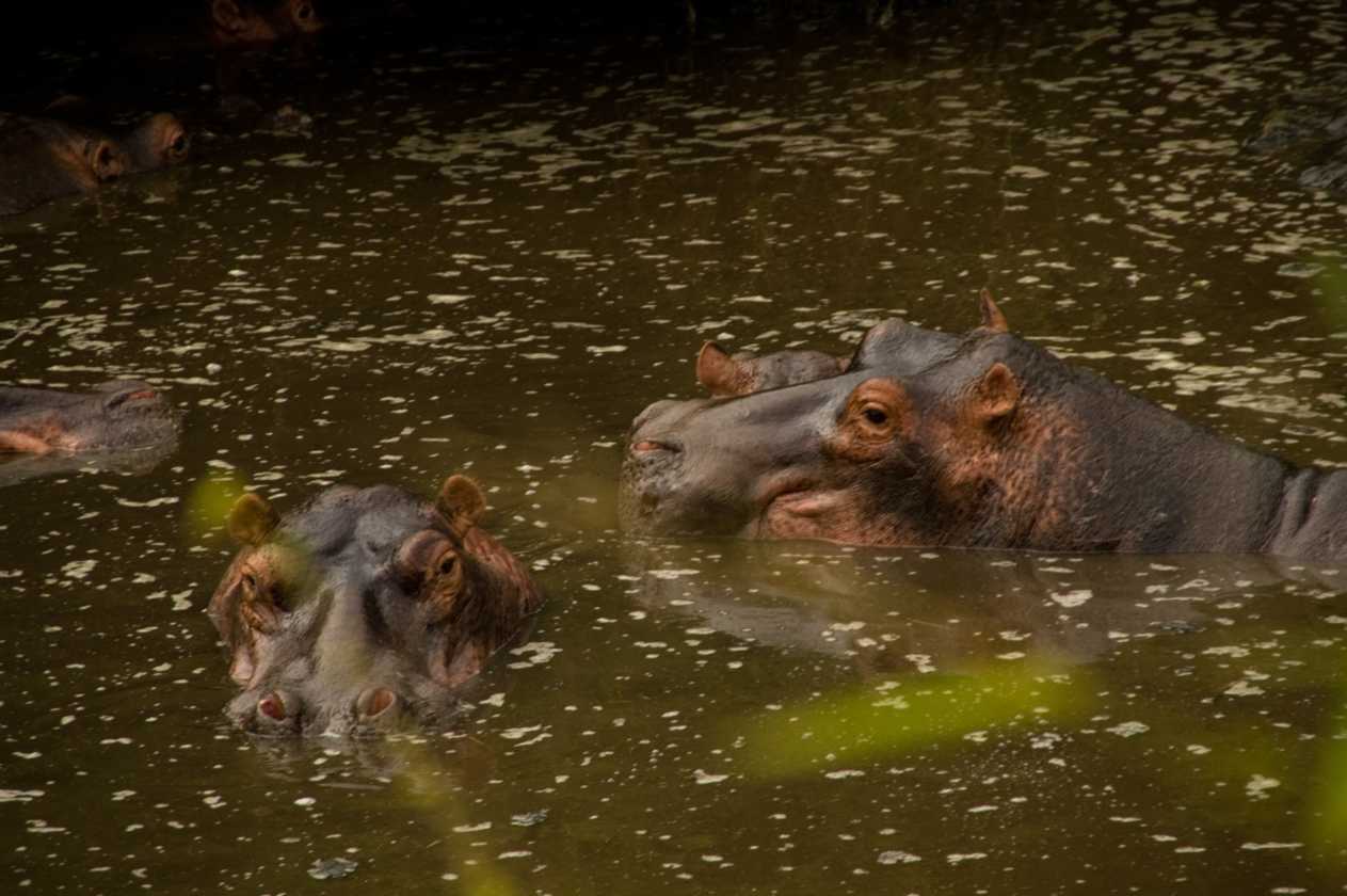 05-tanzania-16