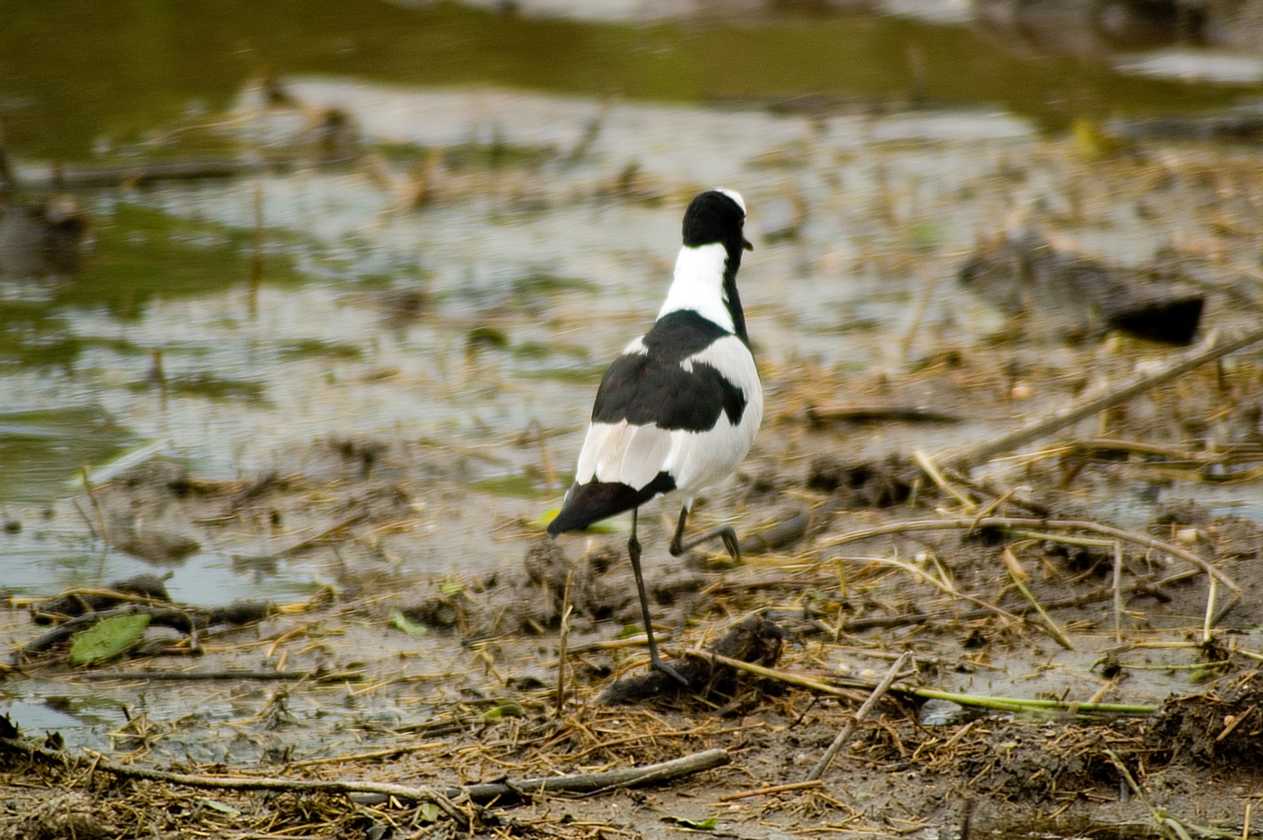 05-tanzania-20