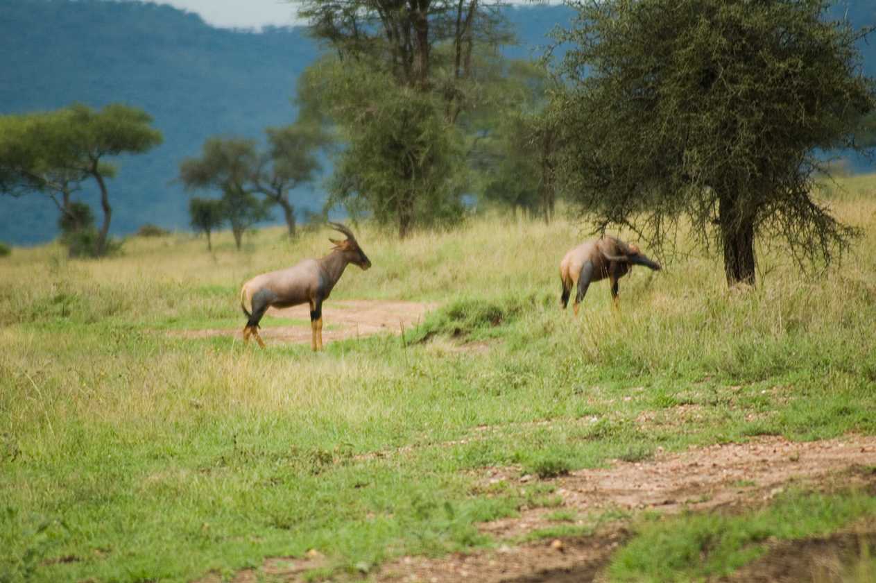05-tanzania-25