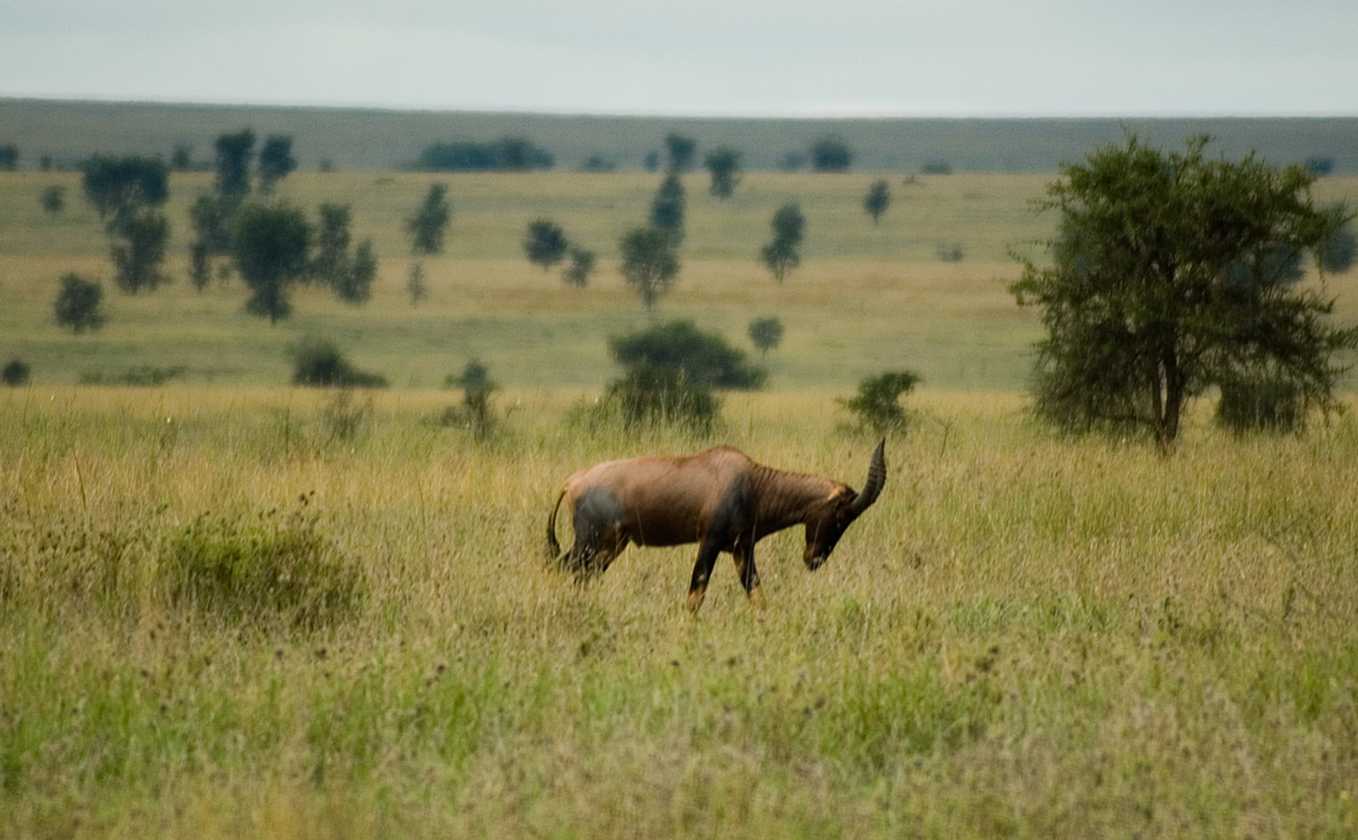 05-tanzania-26