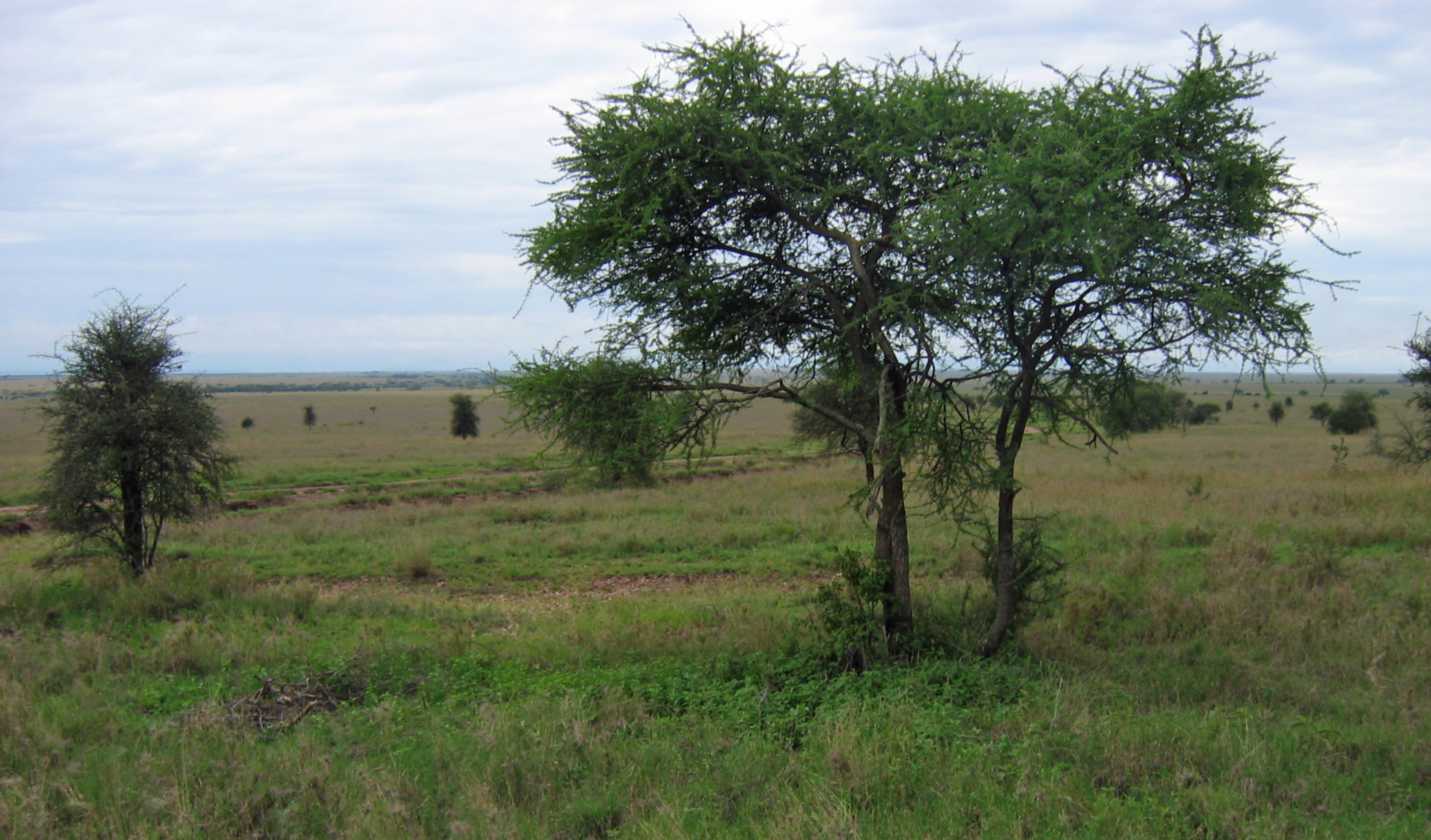 05-tanzania-27