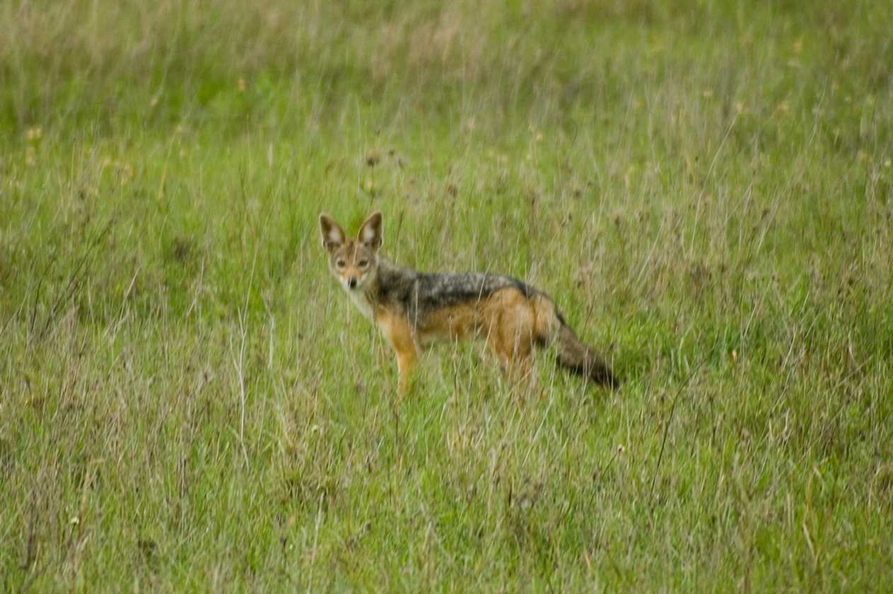 05-tanzania-28