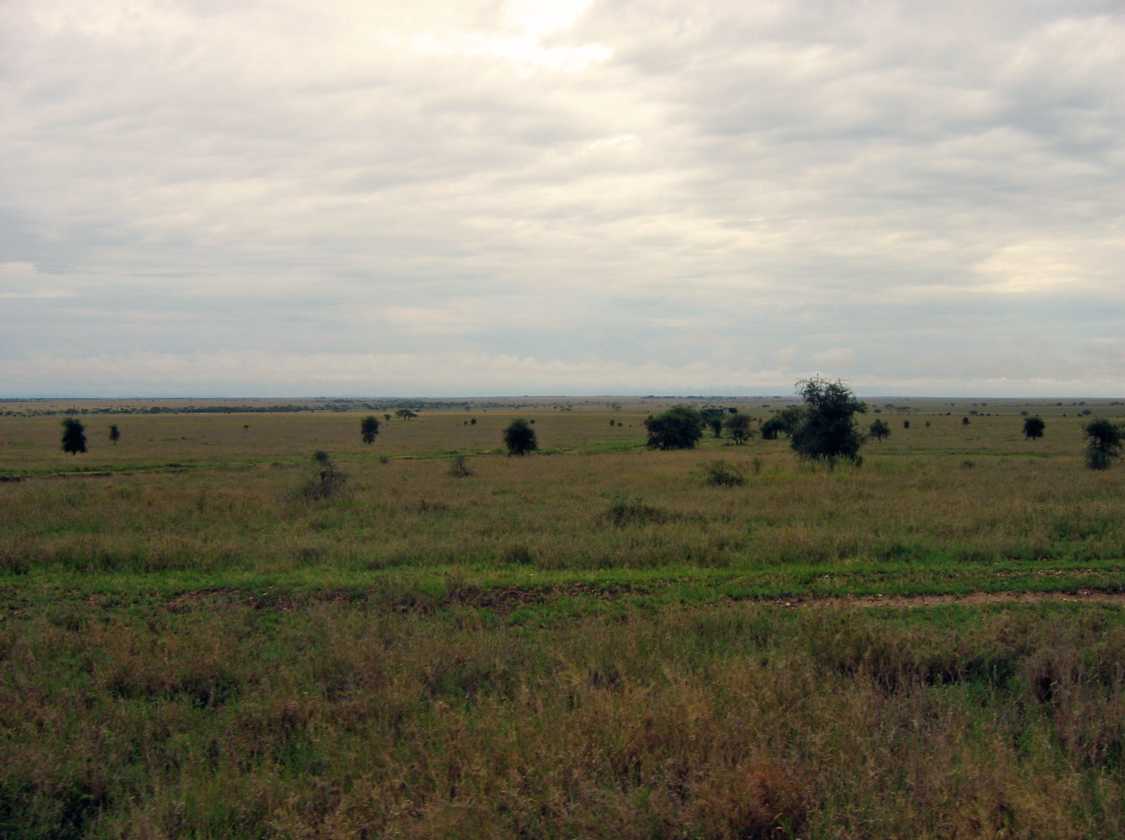 05-tanzania-29