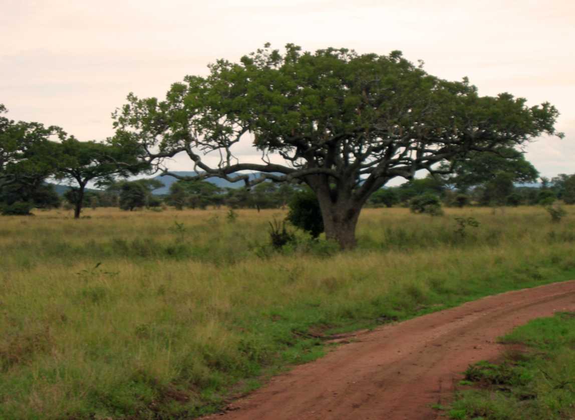 05-tanzania-36