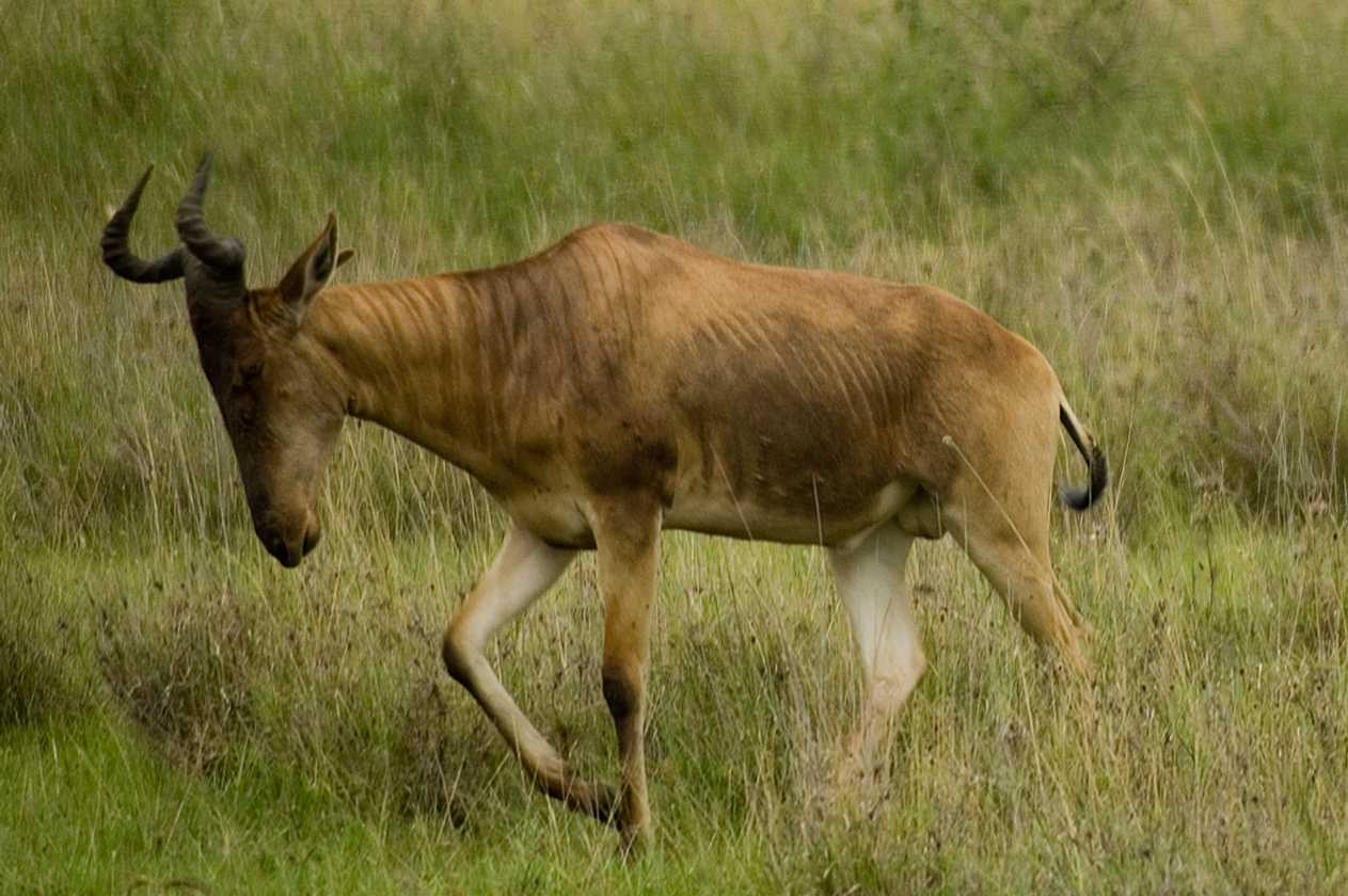 05-tanzania-40