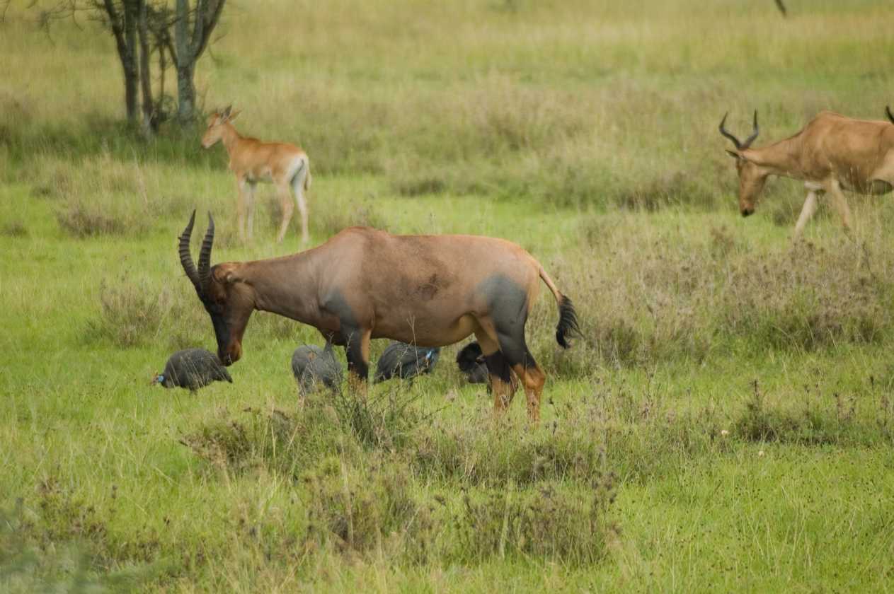 05-tanzania-43