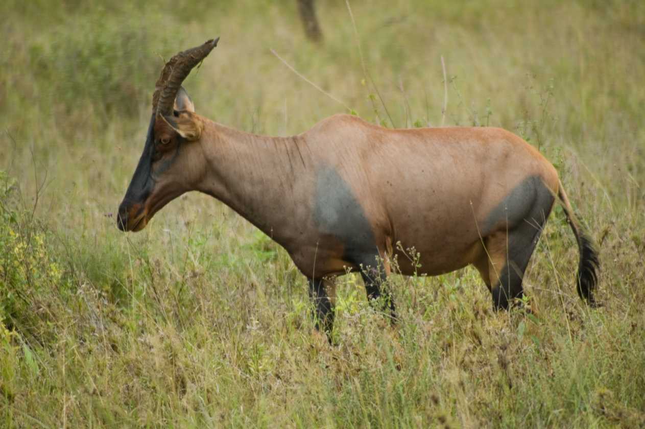 05-tanzania-45