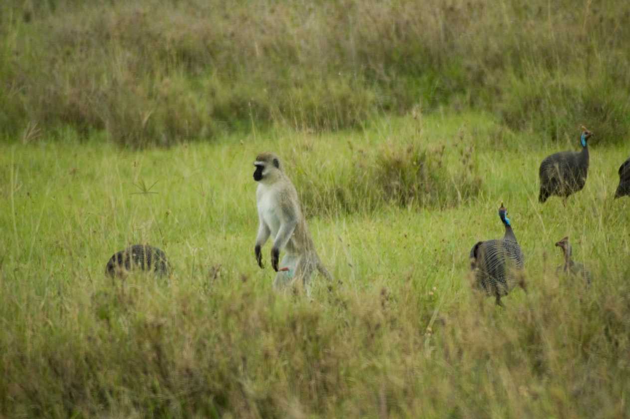 05-tanzania-46