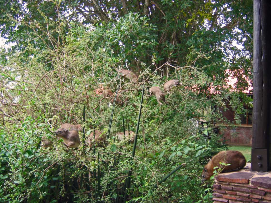 05-tanzania-47