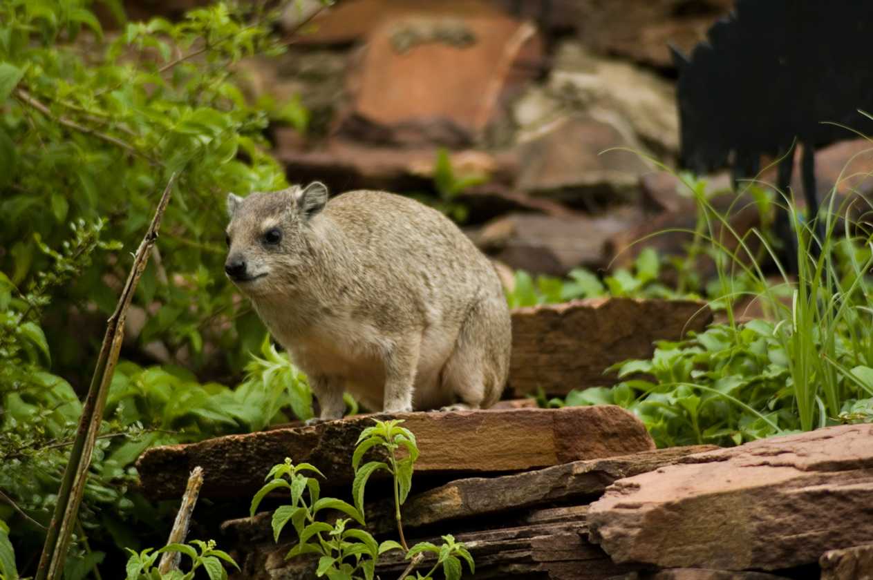 05-tanzania-48