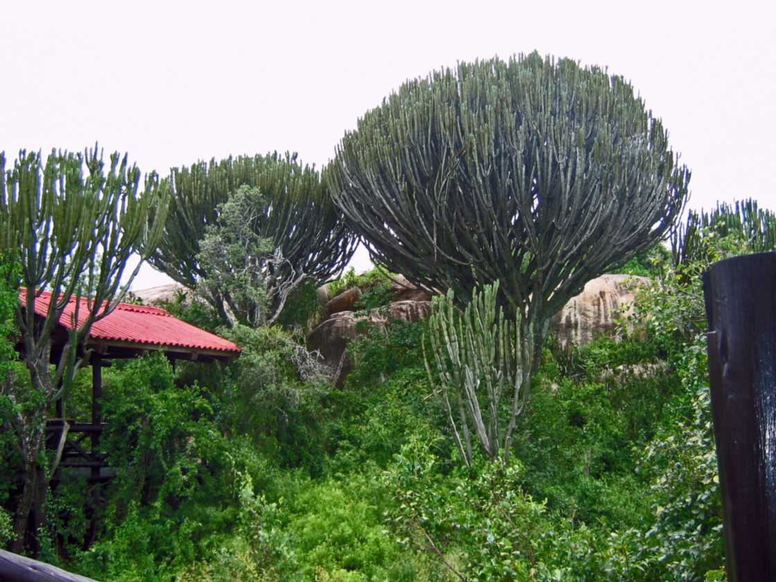 05-tanzania-52