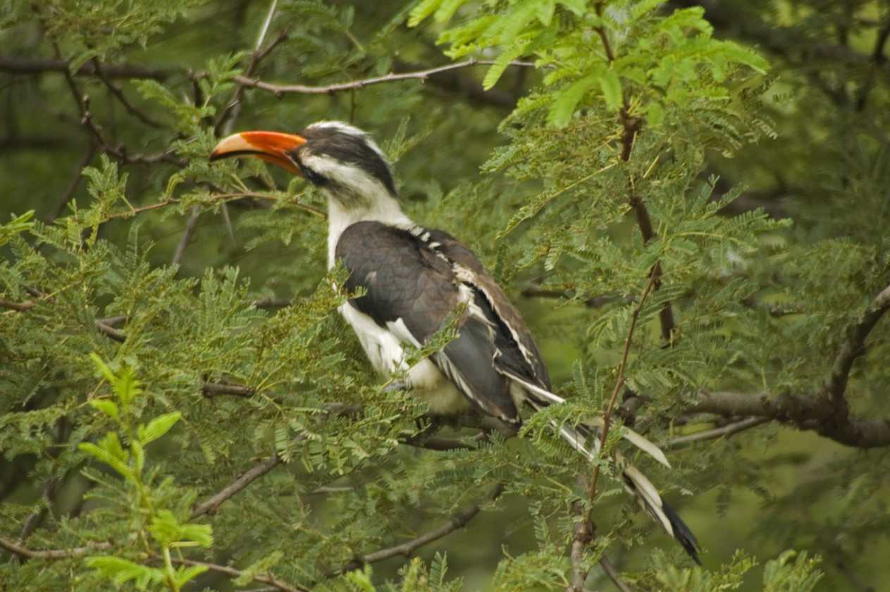 05-tanzania-55