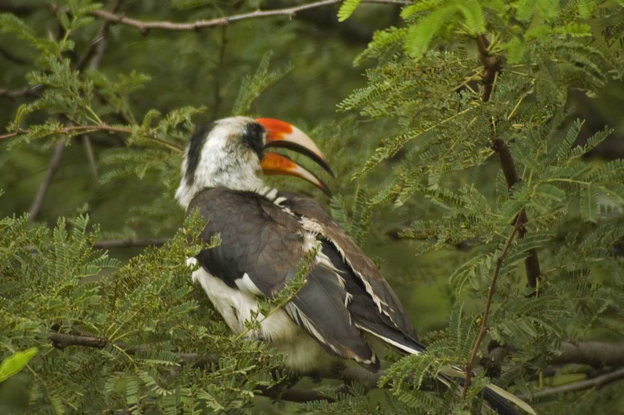 05-tanzania-56
