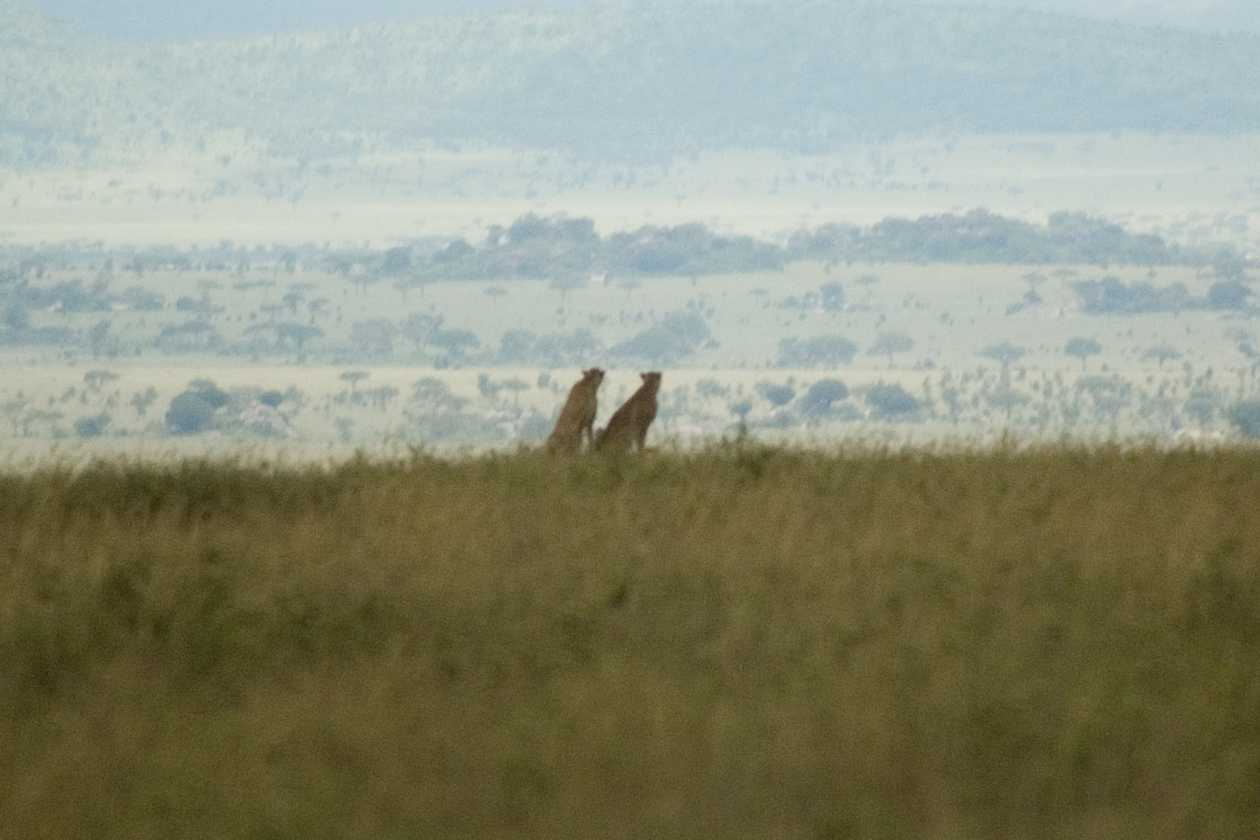 05-tanzania-59