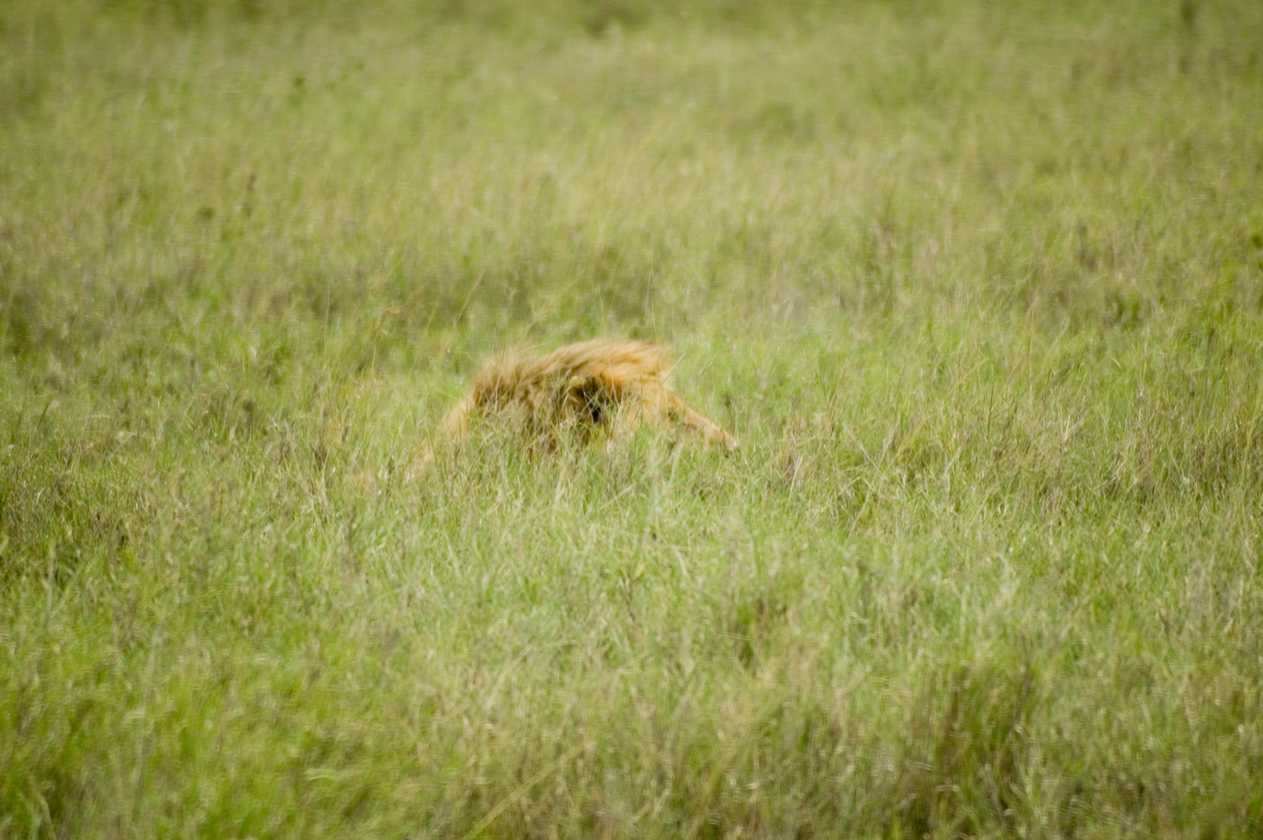 05-tanzania-61