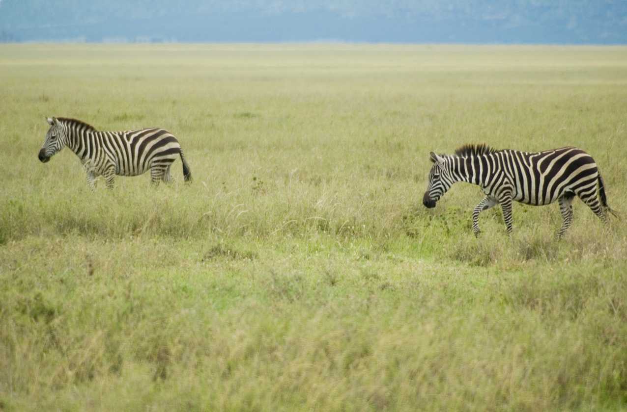 05-tanzania-62