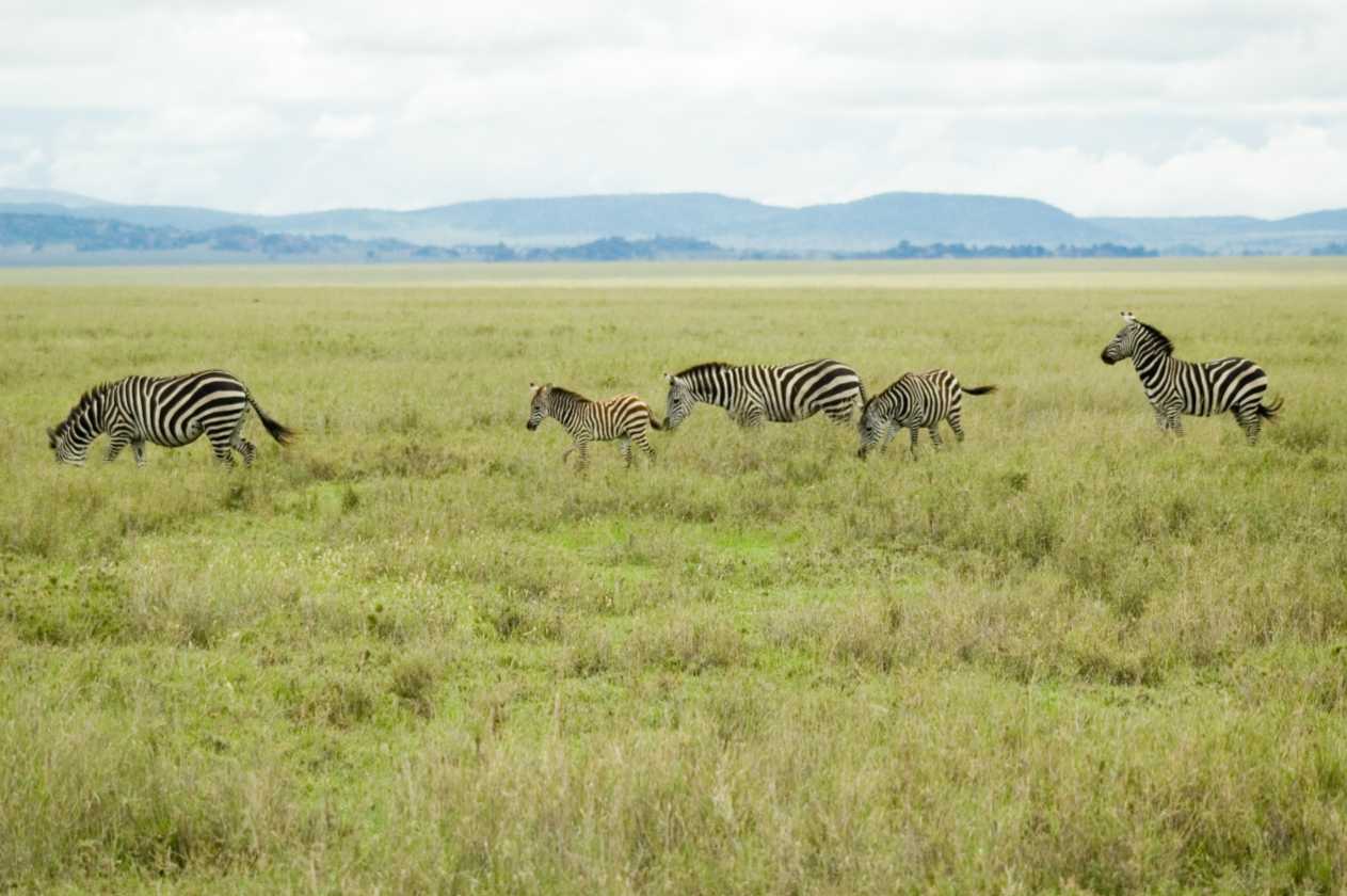 05-tanzania-65