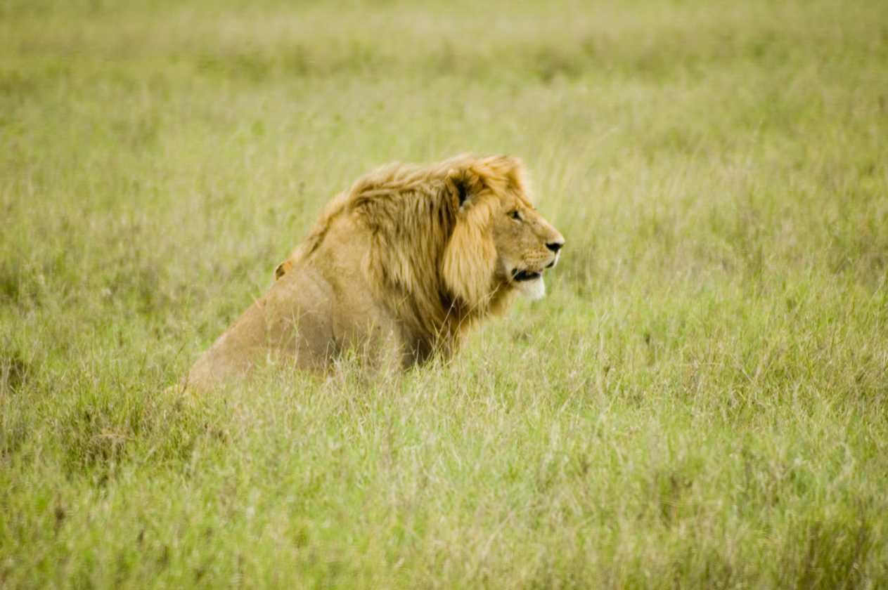 05-tanzania-67