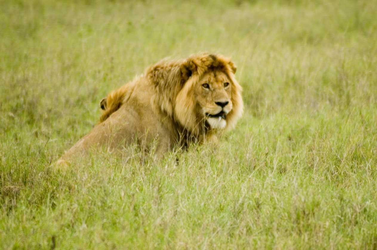 05-tanzania-68