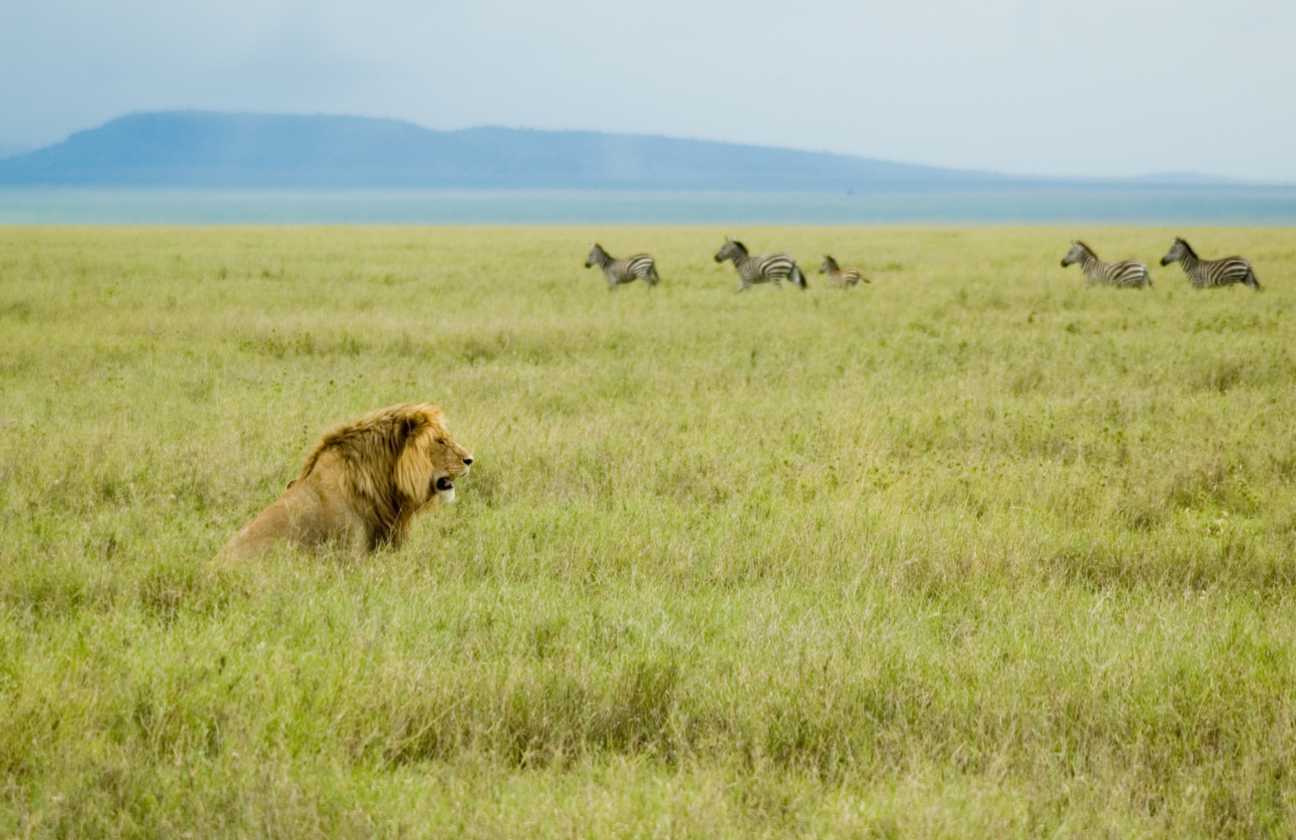 05-tanzania-69