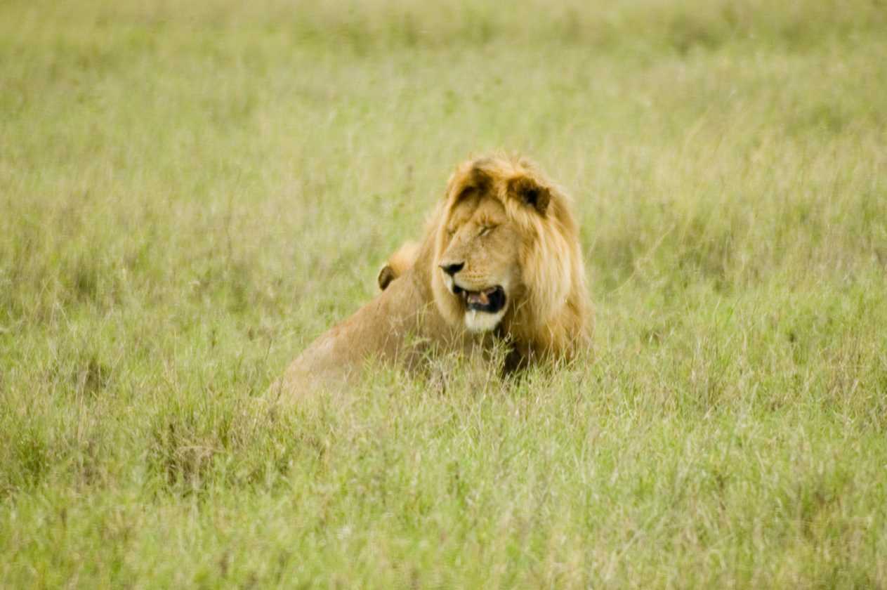 05-tanzania-71