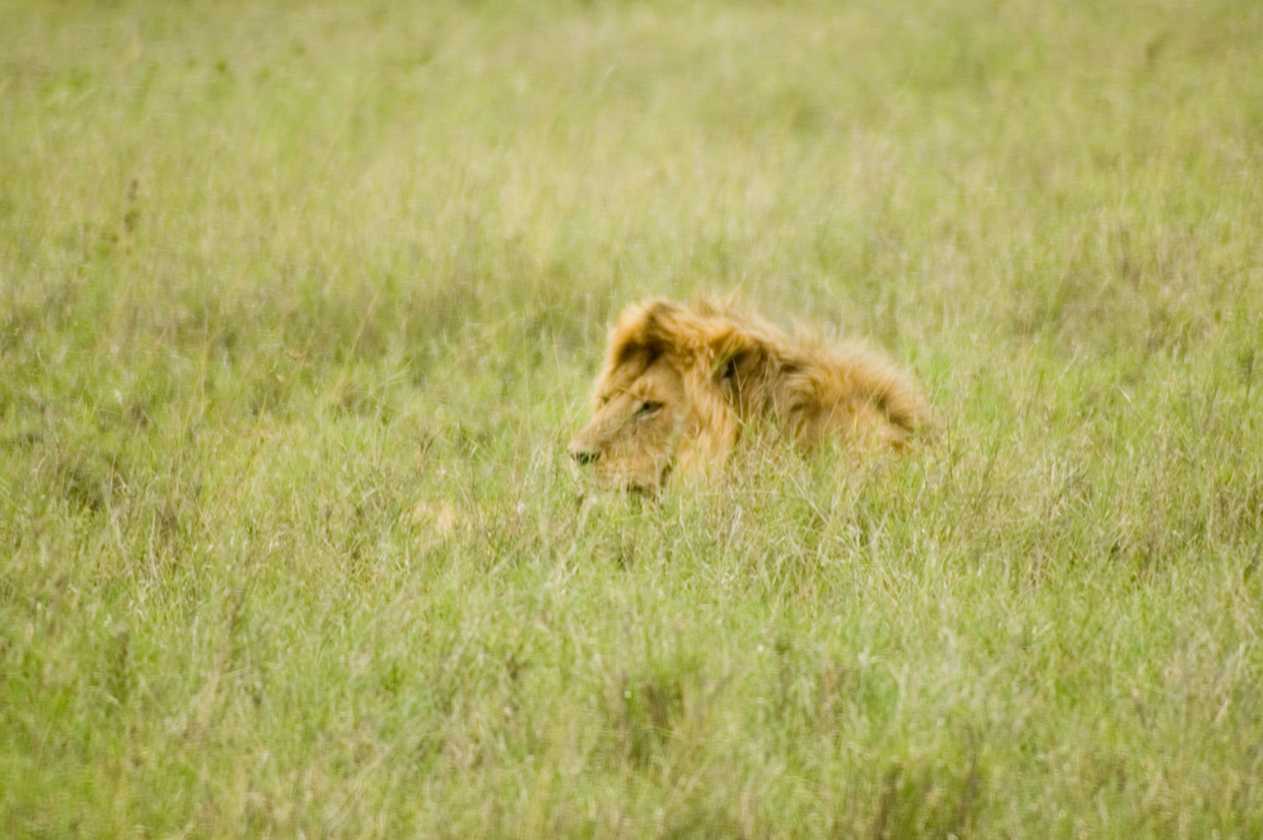 05-tanzania-74