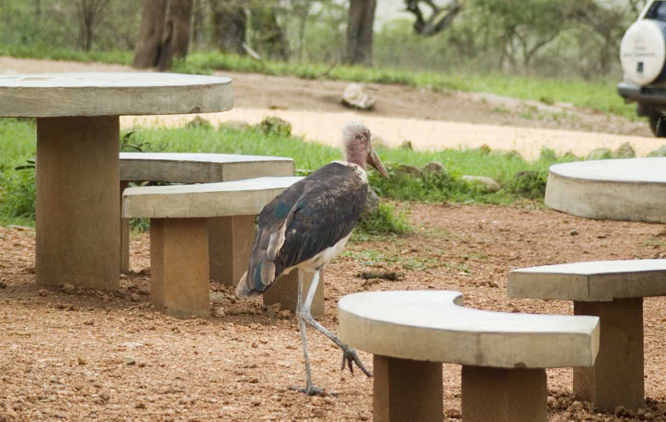 05-tanzania-75