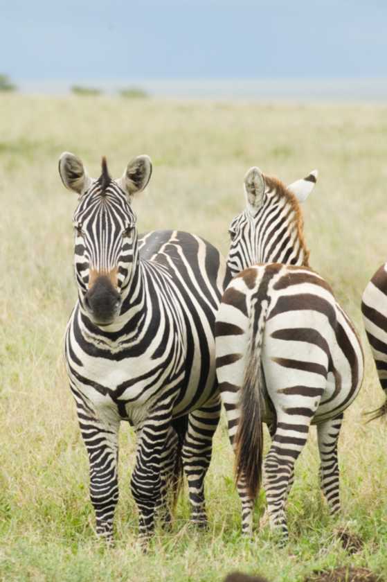 05-tanzania-77