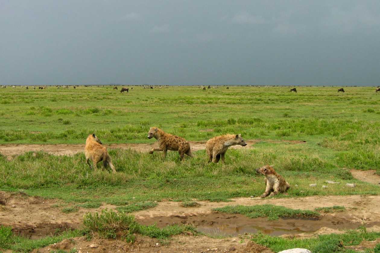 05-tanzania-81